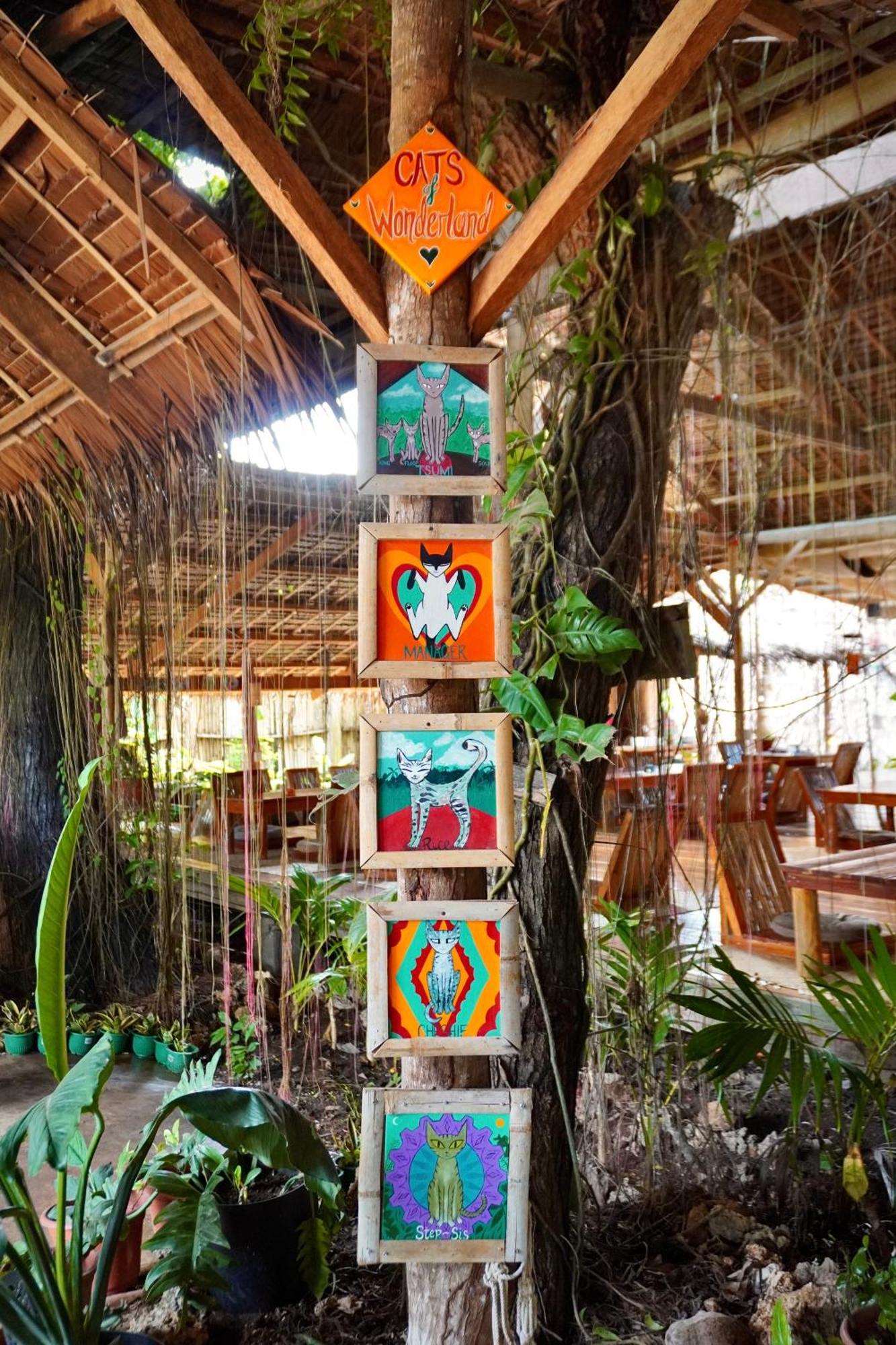 Hotel Wonderland Siquijor Exterior foto